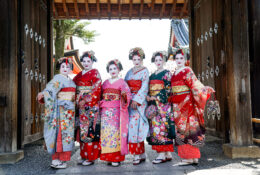 Japan_Sakura_2025 (65/79)